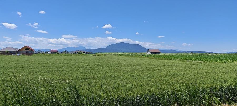 Loturi de casă în Hălchiu - Brașov. - 7