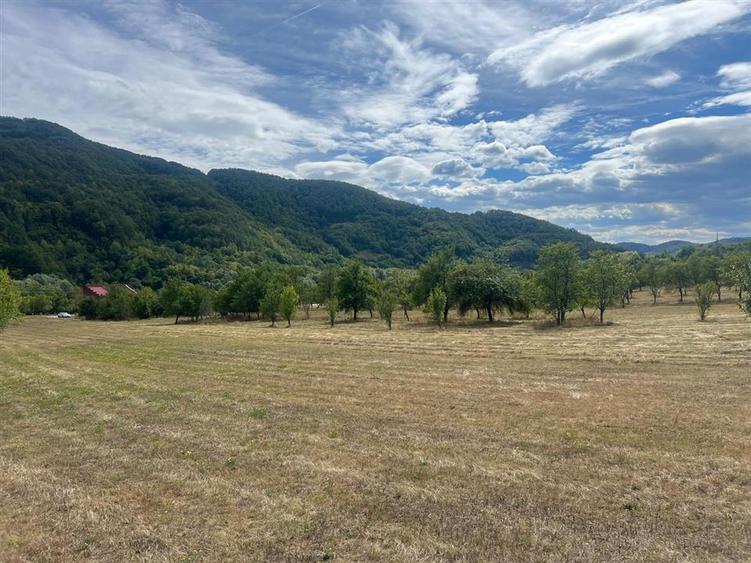 Teren Construcții intravilan de 6354 mp, în Mihăileni