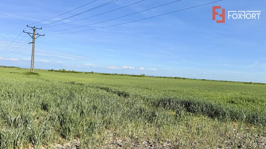 Teren Construcții intravilan de 522 mp, în Bucovăț (Remetea Mare)