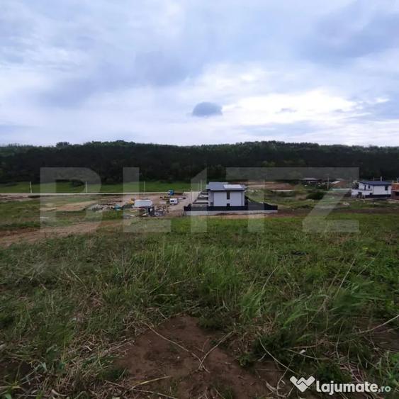 Teren de vanzare in Valea Lupului Strada Lacului | 2 p - 5