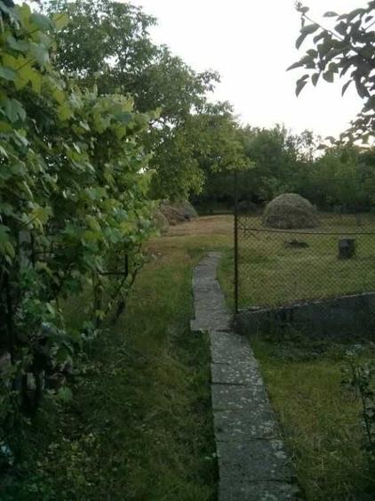 Casă cu 4 camere cu Teren 1500 Mp în Central