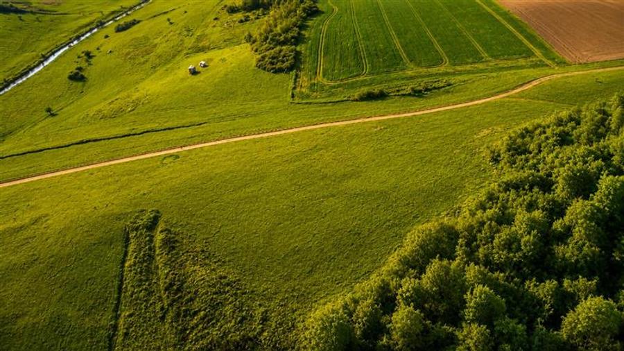 Teren extravilan de 6000 mp, în Sângeorgiu de Mureș