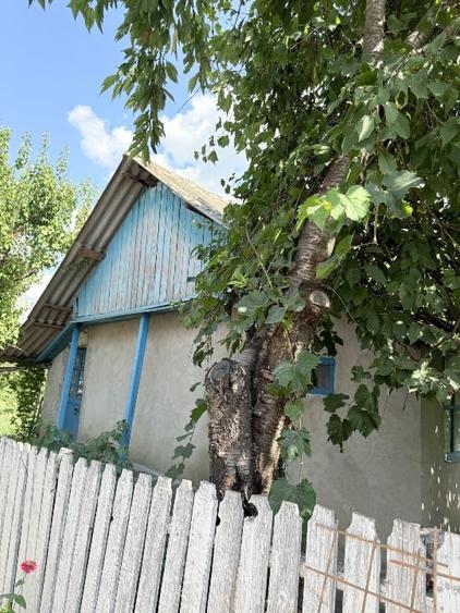 Teren Construcții intravilan de 521 mp, în Bălteni
