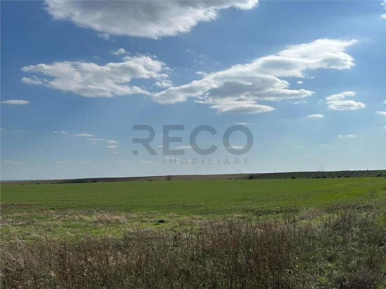 RECO Oportunitate teren 25000mp Santandrei - 1