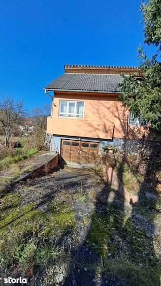 Casă cu 3 camere cu Teren 9000 Mp în Valea Borcutului