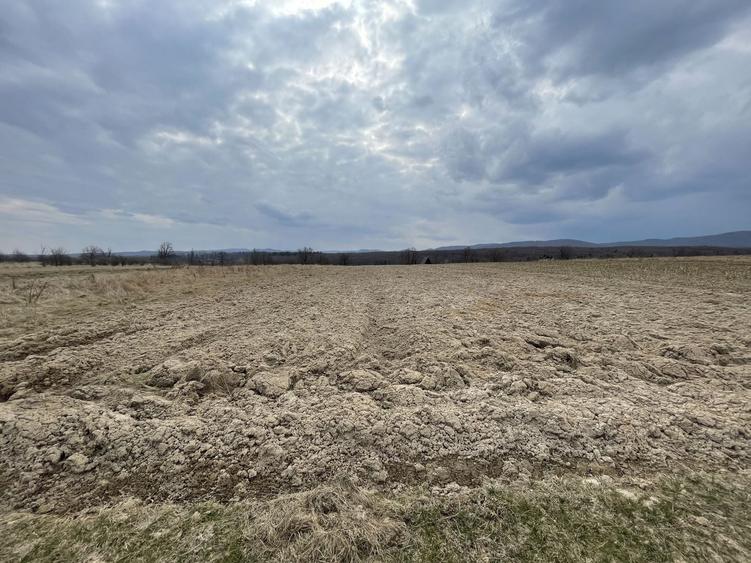 Teren agricol extravilan de 2300 mp, în Horodnic de Sus