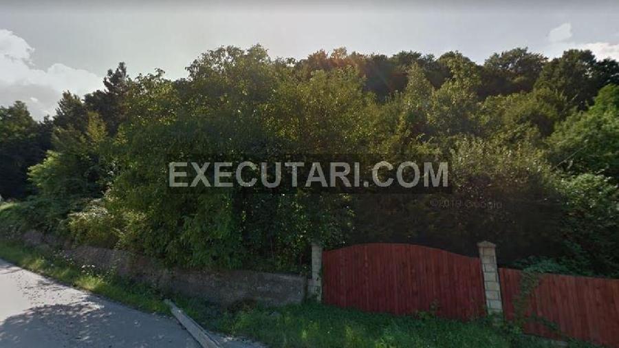 Teren intravilan 3.000 mp, BACAU, TARGU OCNA - 4