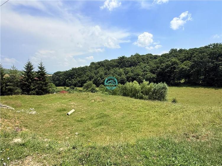 Teren Construcții intravilan de 2500 mp, în Unirii
