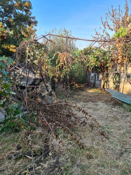 Casă cu 4 camere cu Teren 1800 Mp în Vânătorii Mici