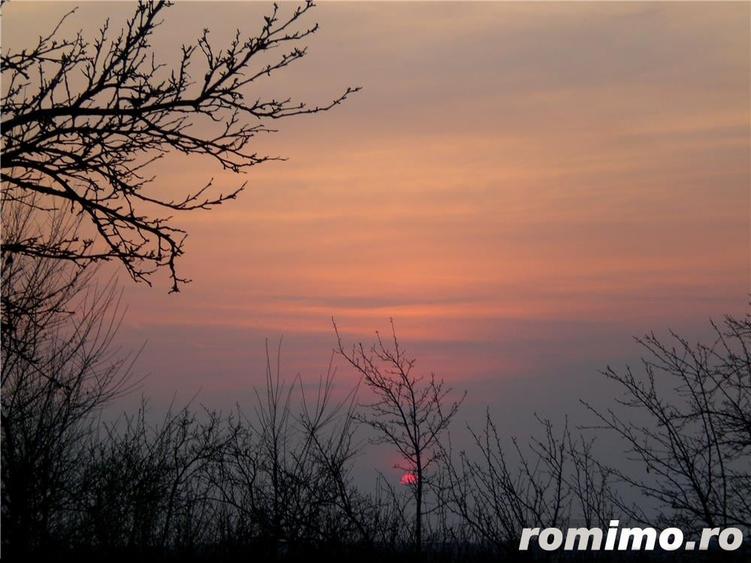 Teren de 40000 mp, în Spineni