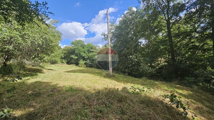 Casă individuală cu 4 camere cu Teren 4840 Mp în Sohodol