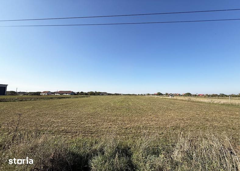 5000 mp. Teren intravilan - Les - IMOBIHOR - 1