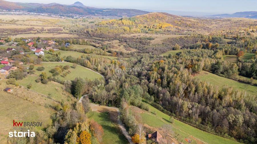 Teren intravilan in Zarne?ti, zona Tohanita, cu padurice ?i parau curg - 10