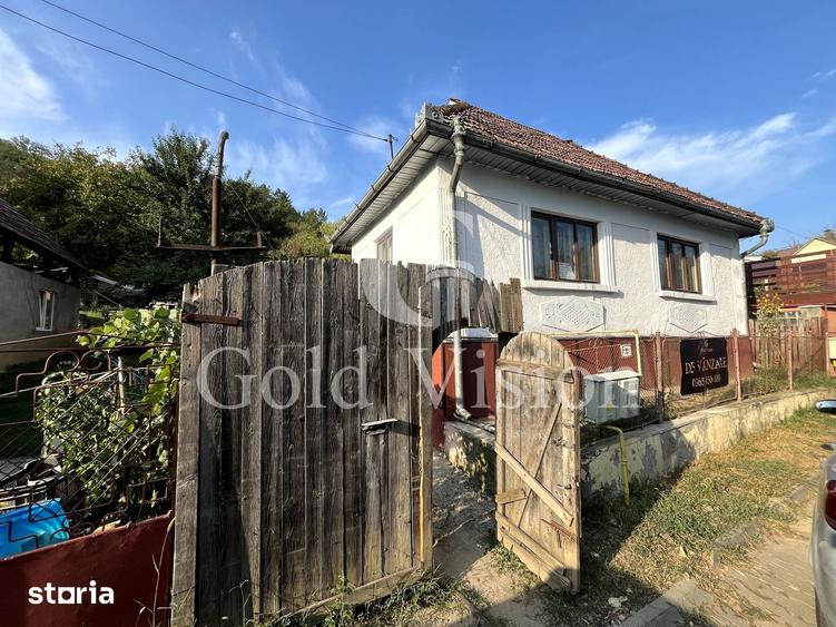 Casă cu 3 camere cu Teren 1560 Mp în Tudor Vladimirescu