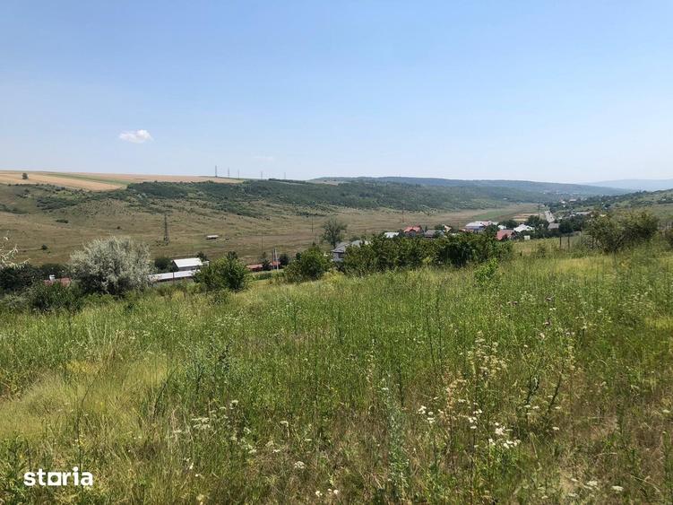 Teren de 5000 mp, în Popricani