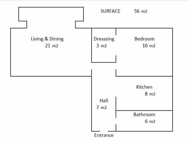 Apartmanent 2 camere Aviatiei- metrou Aurel Vlaicu- Promenada-spatios si luminos - 15