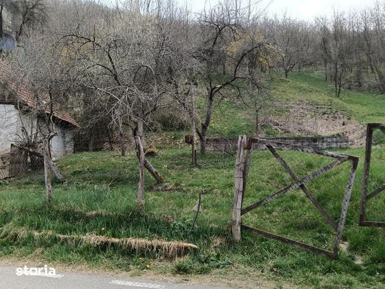 Teren Vetel (valea caoiului)3573 mp - 5