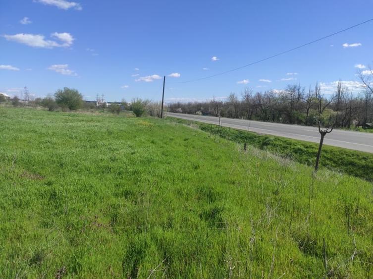 Teren extravilan, 8600 mp, Centura de Nord - 3