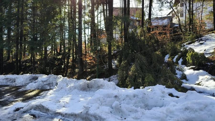 Teren de 835 mp, în Furnica