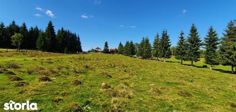 Teren de 1350 mp, în Beliș