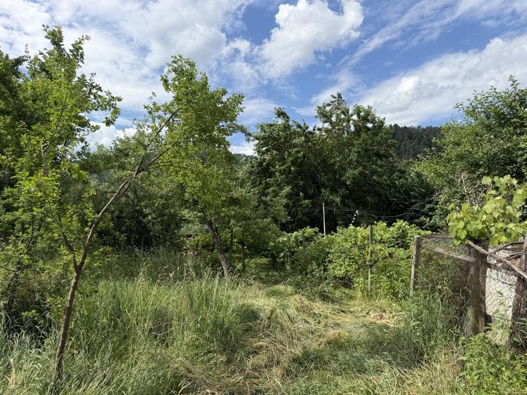 Casă individuală cu 3 camere cu Canalizare în Săliște