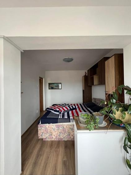Apartament 2 camere, 41 mp utili, Sanmartin, Bihor. - 4