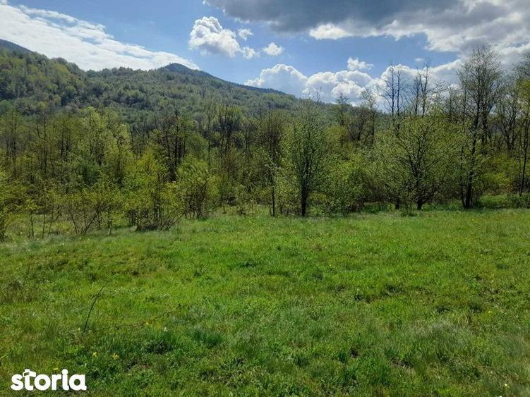 Teren de 1632 mp, în Oituz