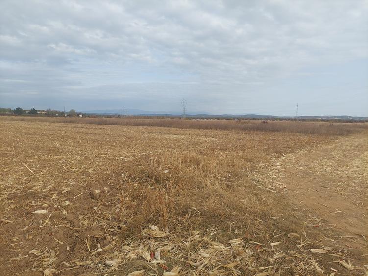 Teren Construcții intravilan de 9844 mp, în Dumbrava