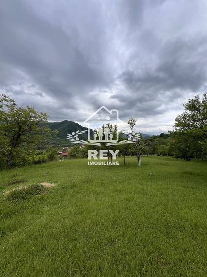 Teren Construcții intravilan de 5217 mp, în Cisnădioara