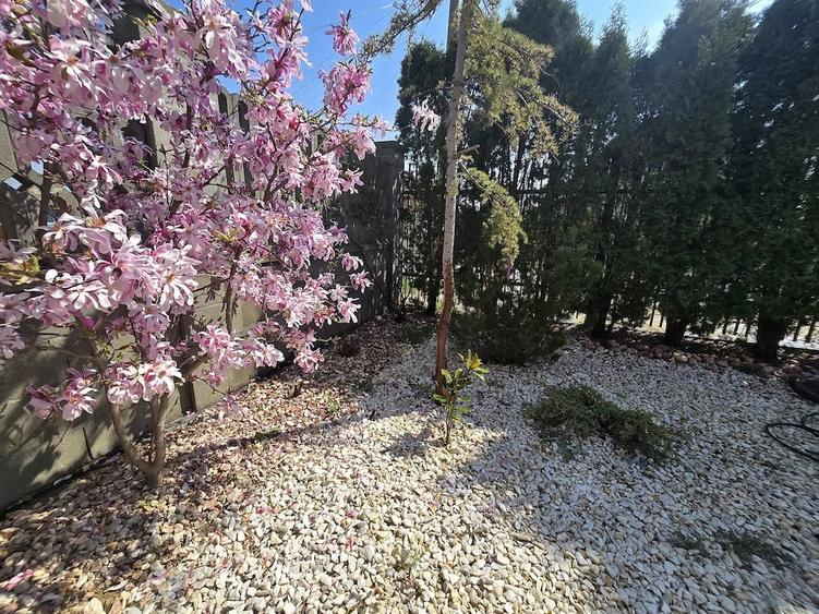 Casă cu Teren 294 Mp în Freidorf