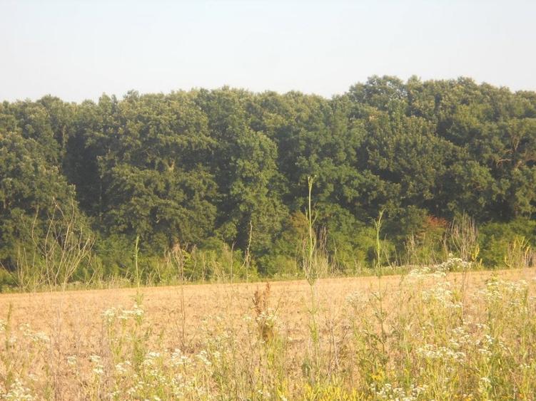 Teren Construcții intravilan de 670 mp, în Crevedia