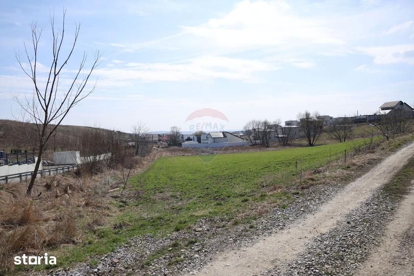 Teren de 3500 mp, în Moara