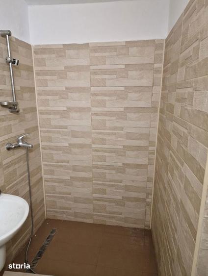 Spațiu comercial, de 36 mp, în Elisabetin