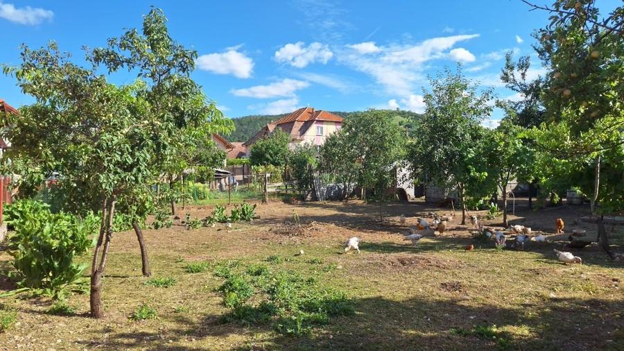 Casă individuală cu 2 camere cu Garaj în Central