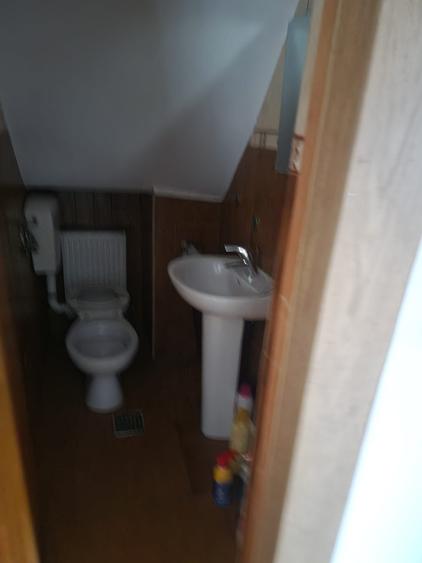 Casă individuală cu 6 camere cu Teren 15000 Mp în Corbii Mari