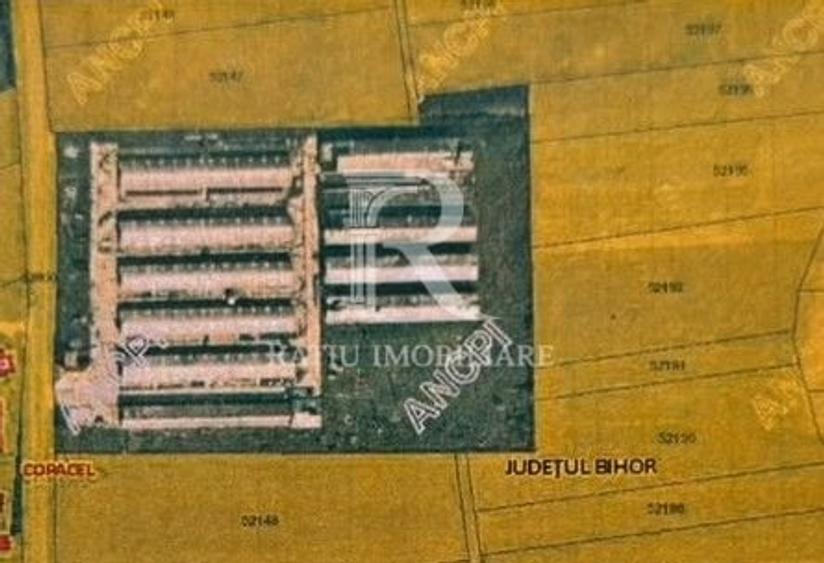 Spațiu industrial, de 8,000 mp, în Sărand