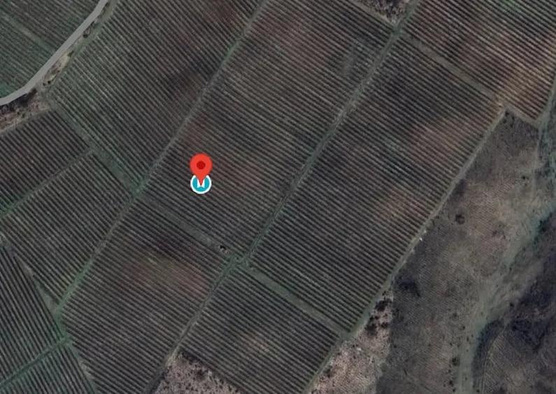 Teren de 165000 mp, în Pleașa