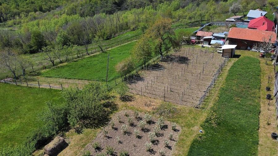 Casă cu 3 camere cu Teren 4381 Mp în Poduri