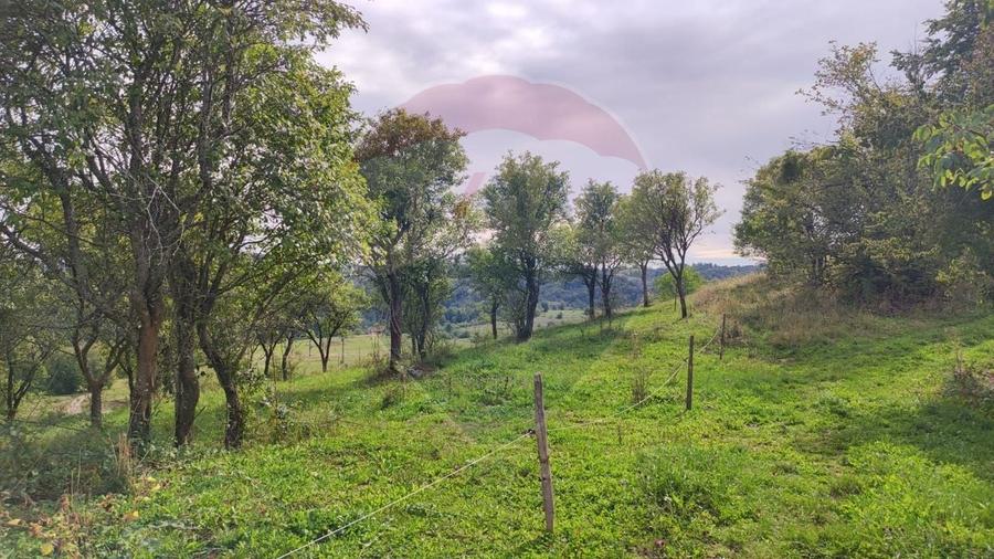 Teren Construcții intravilan de 3082 mp, în Damiș