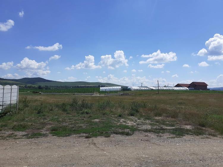 Teren Construcții intravilan de 413 mp, în Micești