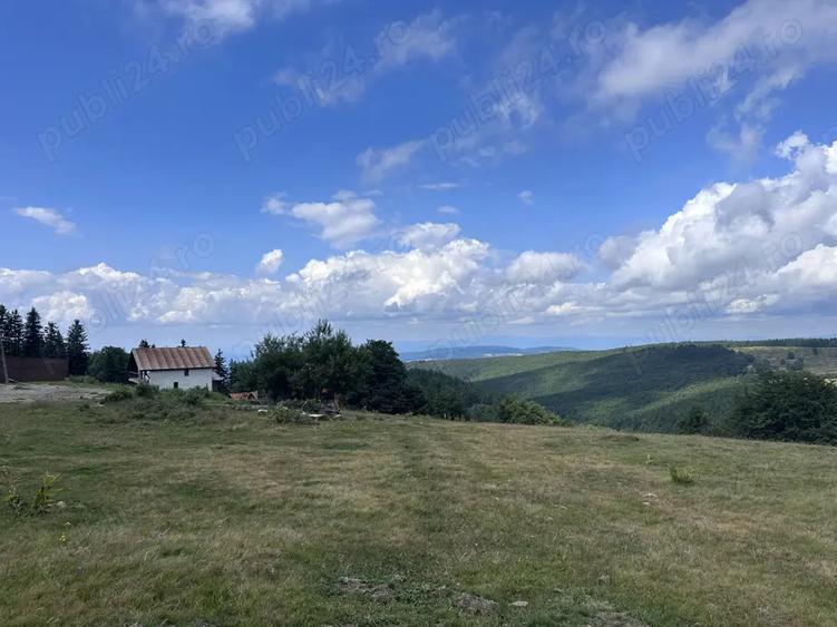 Vand teren intravilan 1550 mp pe Semenic la 1400 m altitudine - 4