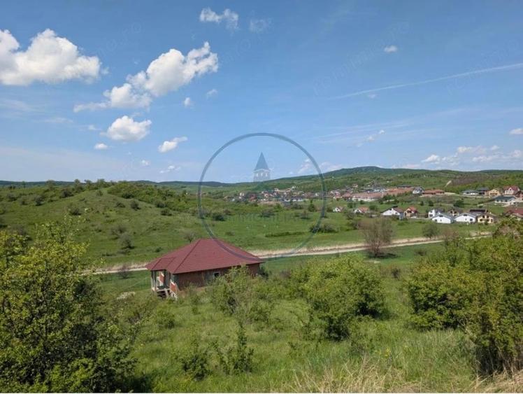 Oportunitate de investi?ie teren intravilan in zona Valea Sigmirului - 8
