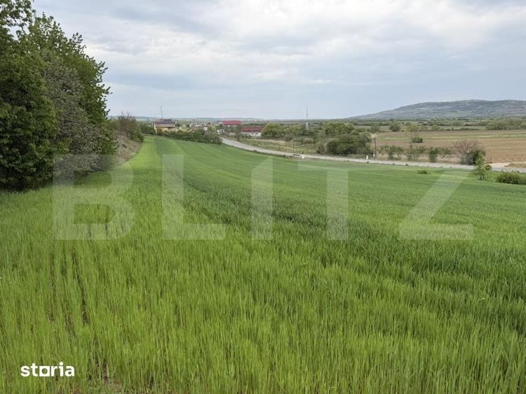 Teren de 12500 mp, în Bobota