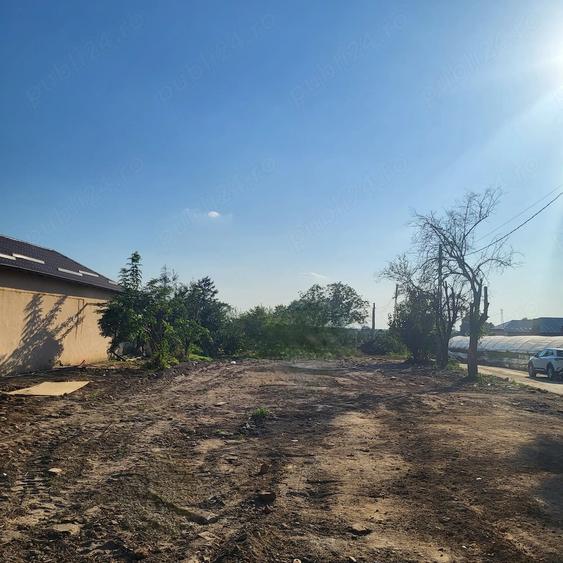 Vand teren in Com. Vidra,Sat.Sintesti, str, Principala. - 4