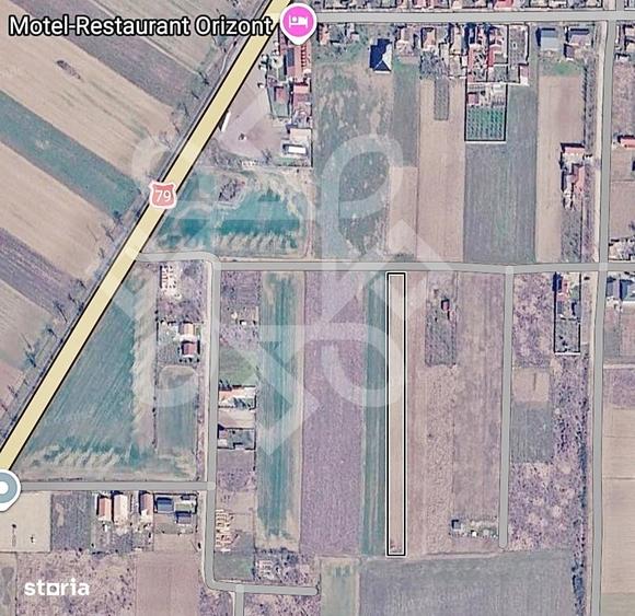 Teren intravilan de vanzare, 3000 mp in Gepiu, Bihor - 5