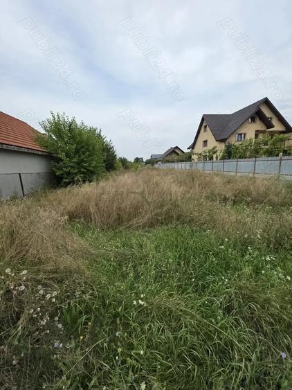 Dumbrava Ro?ie teren 2700 m2 - 2