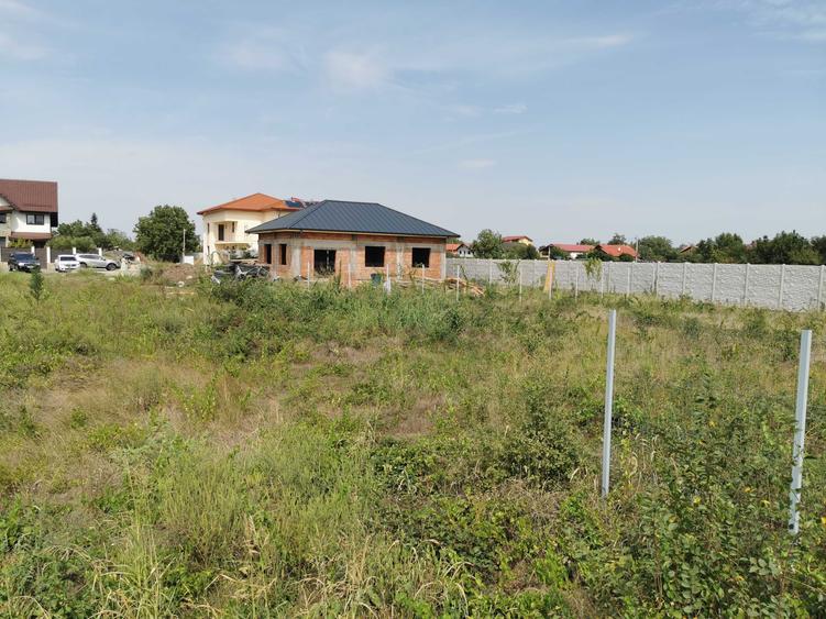 Spațiu comercial, în Brănești