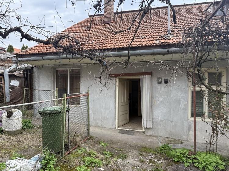 Casă cu 2 camere în Beba Veche
