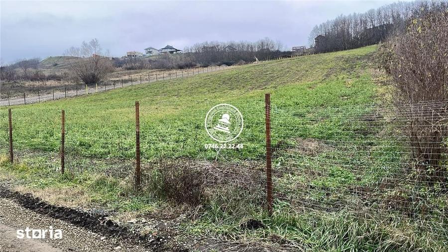 Teren pentru constructii case de vanzare Iasi, Valea Lupului, - 3