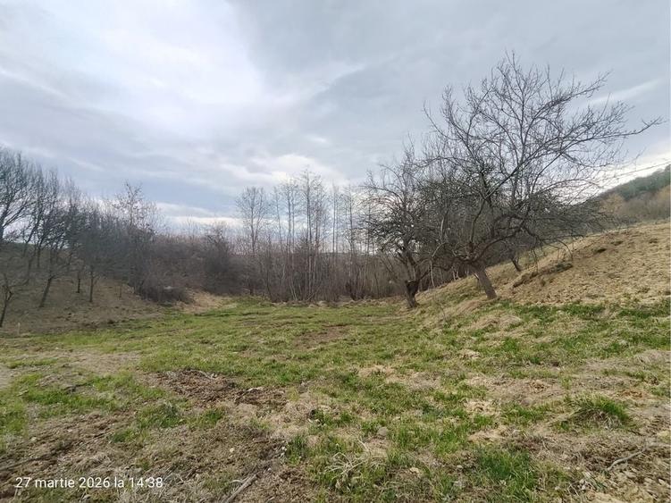 Teren de 1200 mp, în Sibiel
